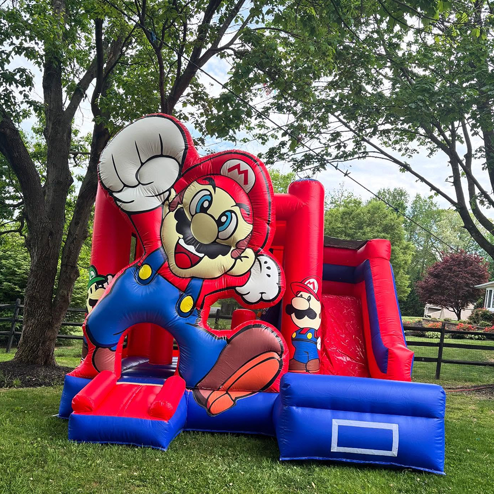 Custom Inflatable Bouncer Kids - Kids Outdoor Jumping Castle avaliação e preço