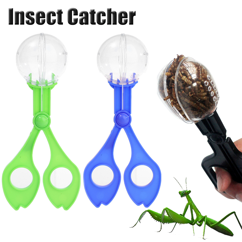 Kids Outdoor Adventure Insect  - Kids Outdoor Adventure Kit avaliação e preço